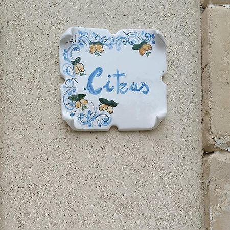 Citrus Verde Syracuse Luaran gambar